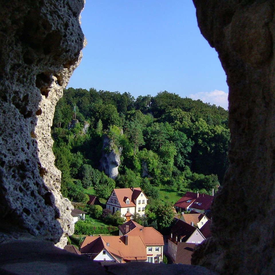 Felsen und Wald des Frankenjuras