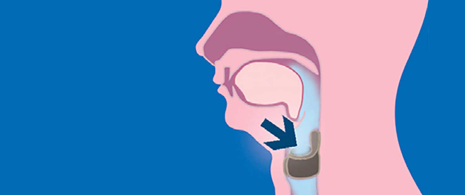 Project frog breathing