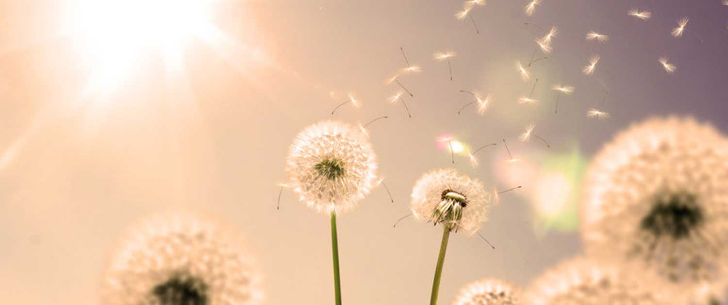 Proyecto-vida-autónoma-con-ventilación